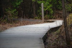 With our detailed list, you could find the best unlimited plan Sherbrooke offers