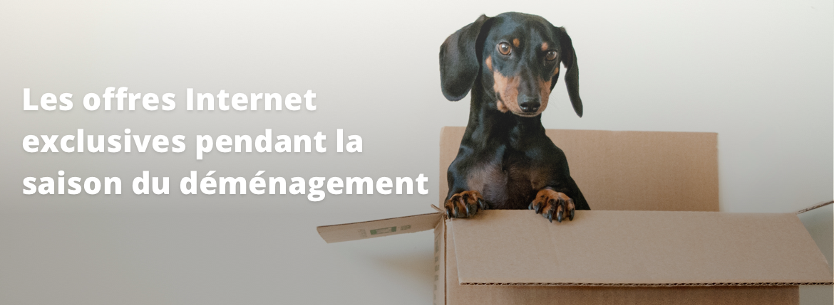 les offres internet