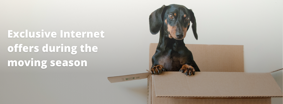 Exclusive Internet offers during the moving season