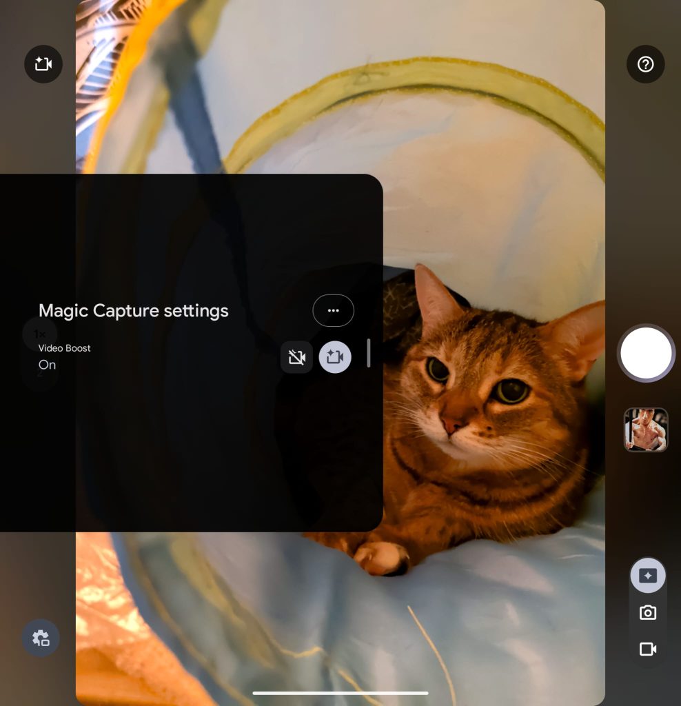 English Magic Capture interface on the Pixel 11 Pro Fold while photographing a cat.